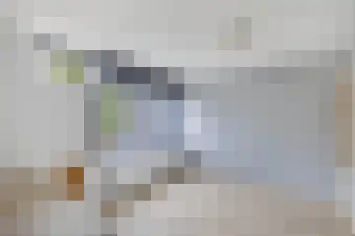 Termijen 36 Heiloo thumbnail 27