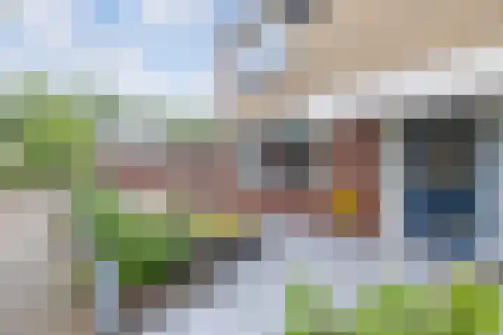 Termijen 36 Heiloo thumbnail 4