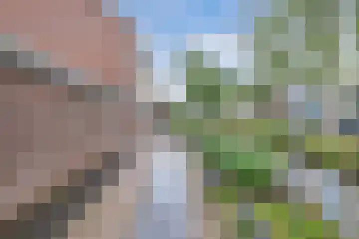 Termijen 36 Heiloo thumbnail 5