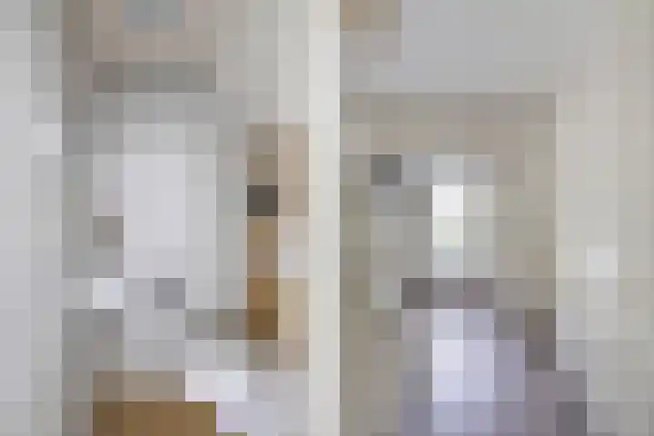 Termijen 36 Heiloo thumbnail 7