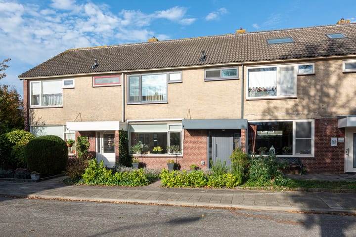 Termijen 42 in Heiloo photo