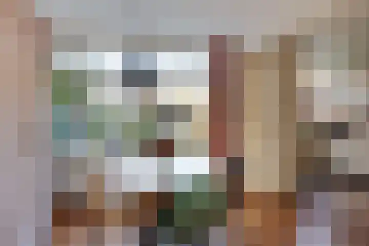 Termijen 42 Heiloo thumbnail 12