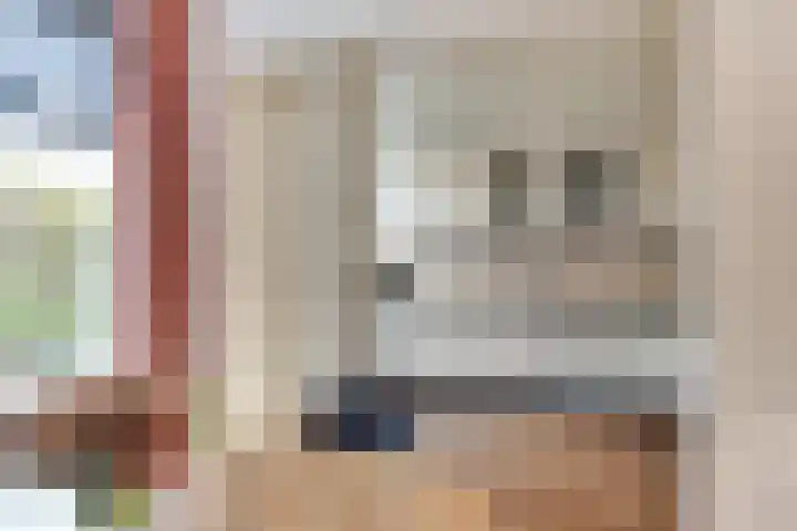 Termijen 42 Heiloo thumbnail 13