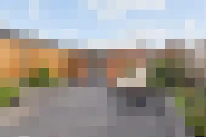 Termijen 42 Heiloo thumbnail 15