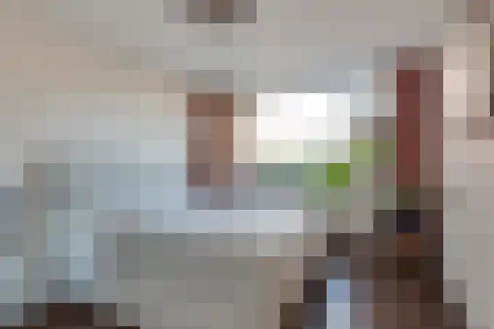 Termijen 42 Heiloo thumbnail 19