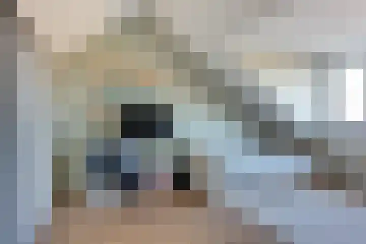 Termijen 42 Heiloo thumbnail 27