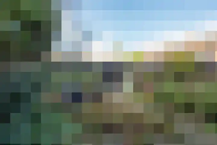 Termijen 42 Heiloo thumbnail 32