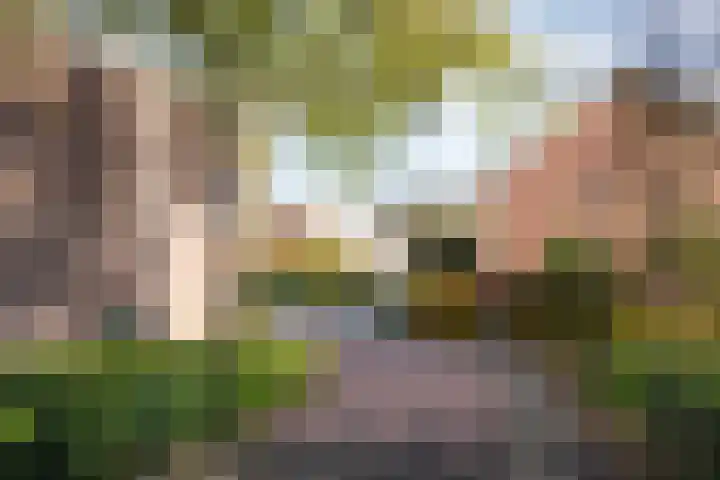 Termijen 42 Heiloo thumbnail 36