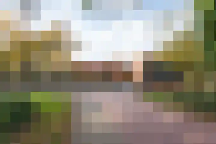 Termijen 42 Heiloo thumbnail 37