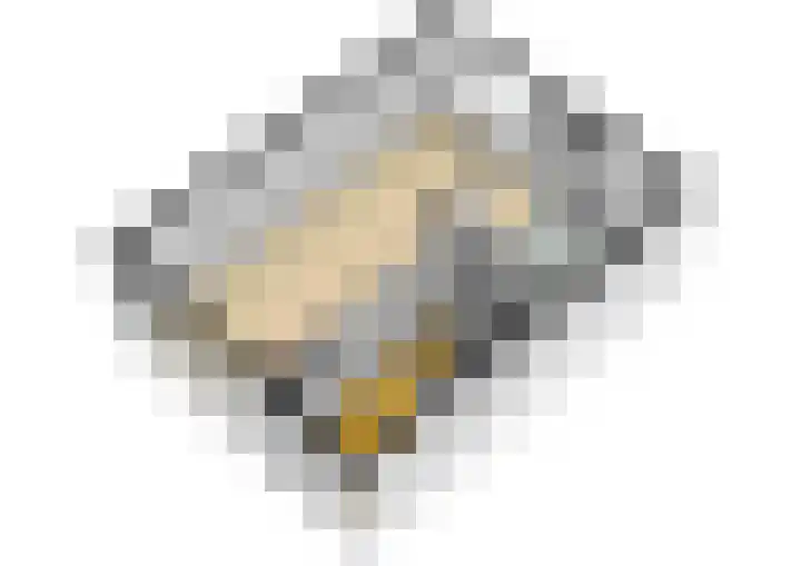 Termijen 42 Heiloo thumbnail 43