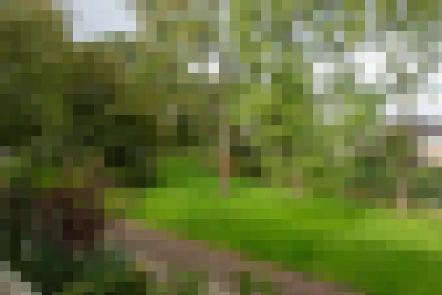 Termijen 60 Heiloo thumbnail 19