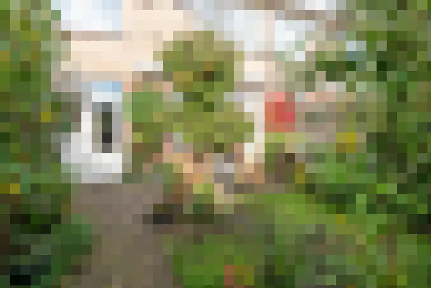 Termijen 60 Heiloo thumbnail 35