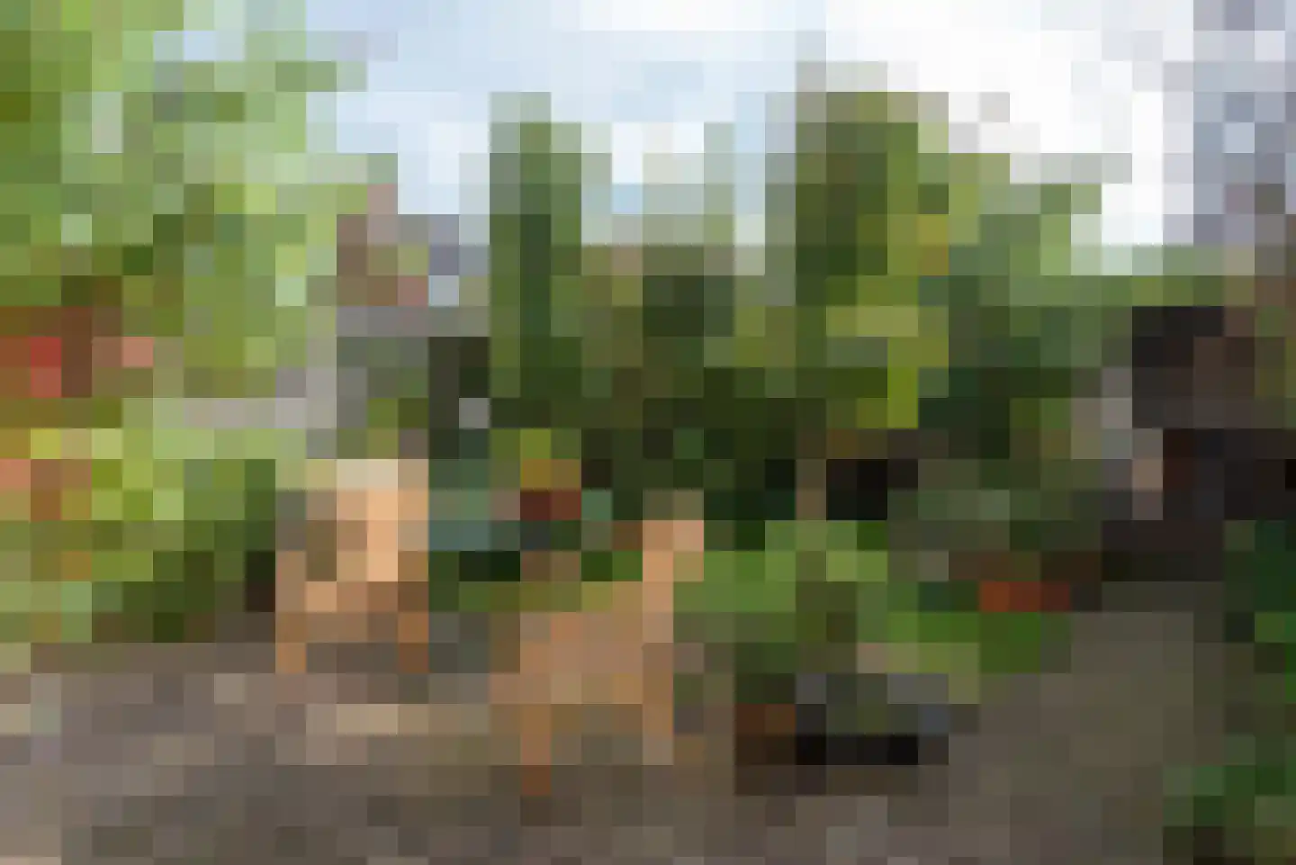 Termijen 60 Heiloo thumbnail 36