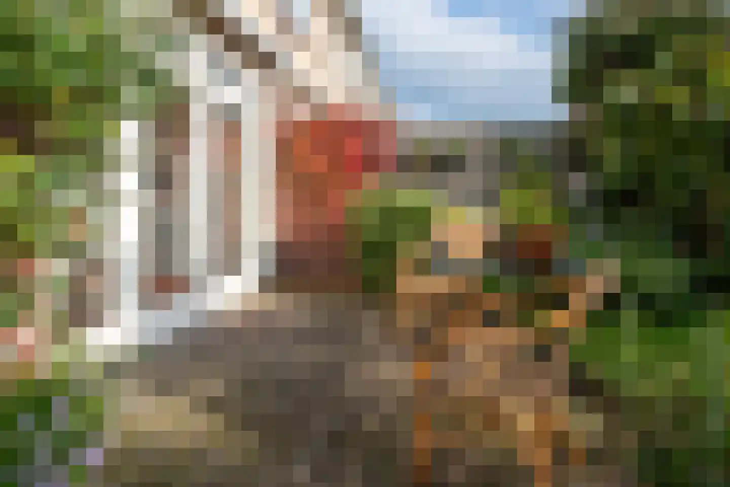 Termijen 60 Heiloo thumbnail 37