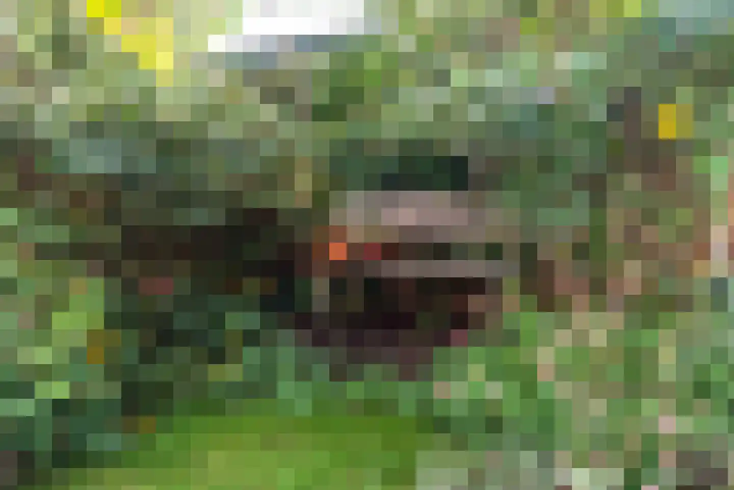 Termijen 60 Heiloo thumbnail 40