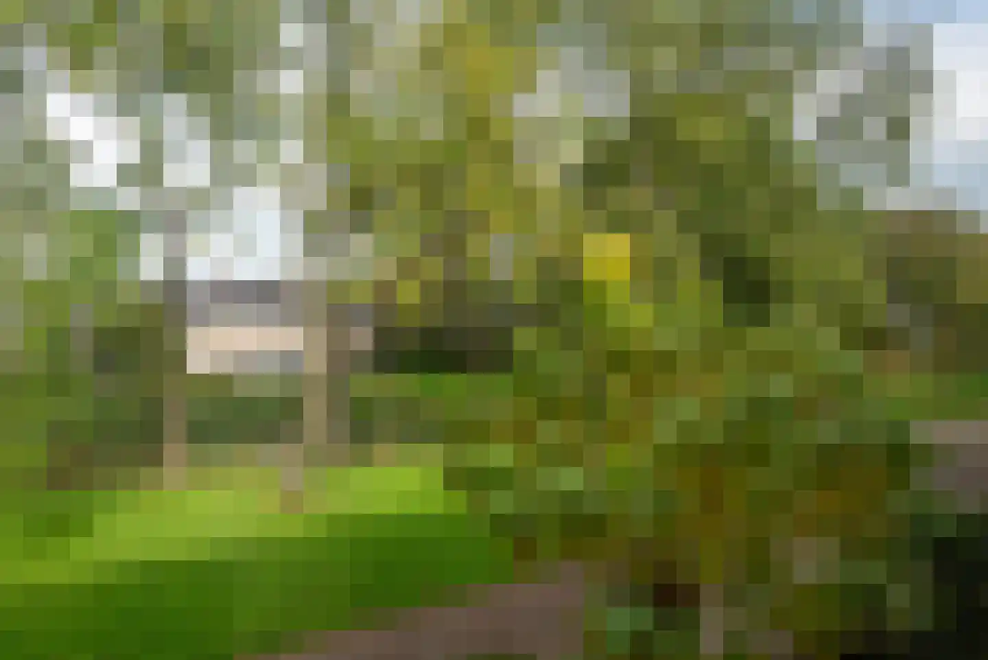 Termijen 60 Heiloo thumbnail 47