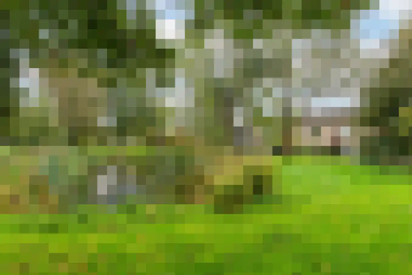 Termijen 60 Heiloo thumbnail 49