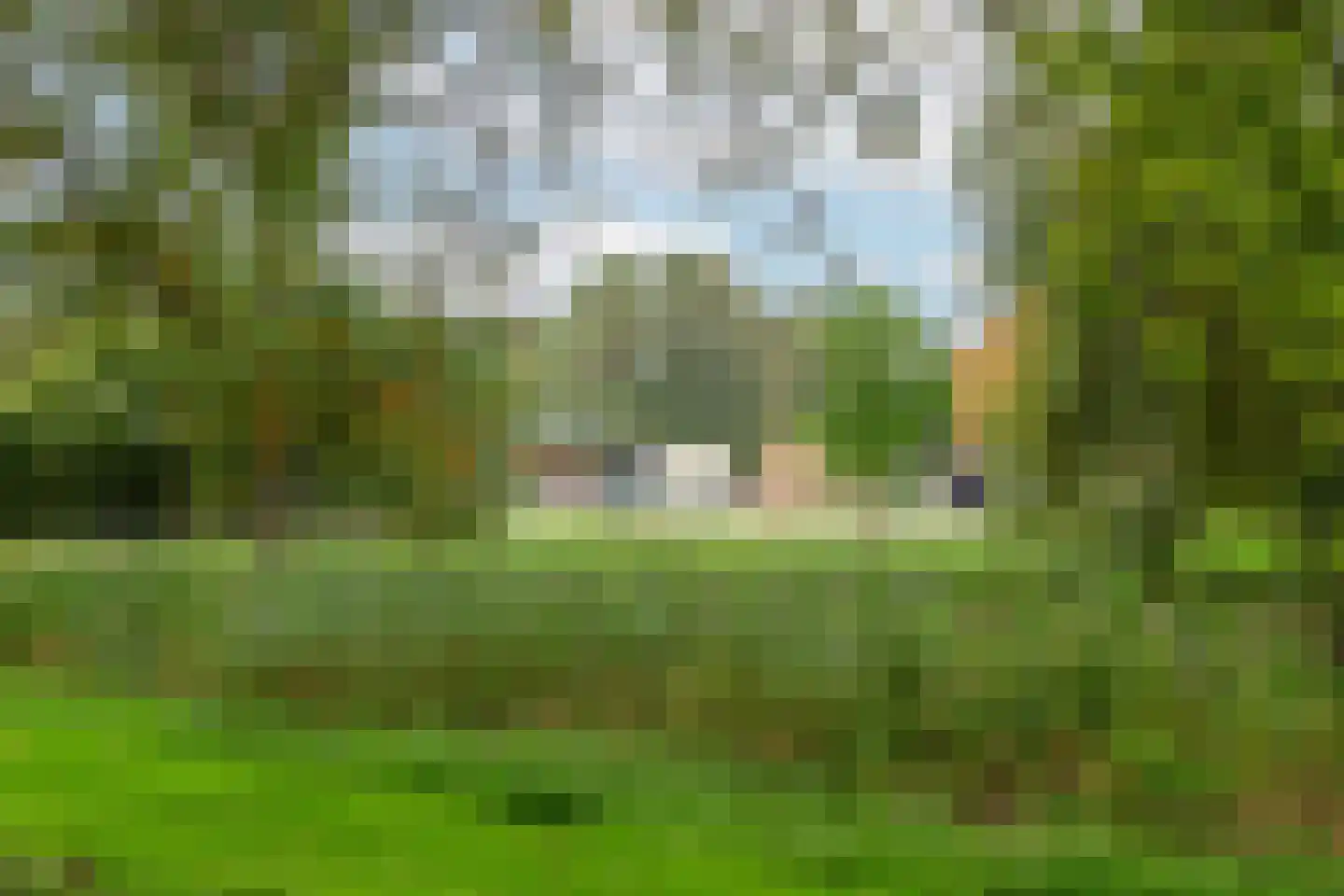 Termijen 60 Heiloo thumbnail 50
