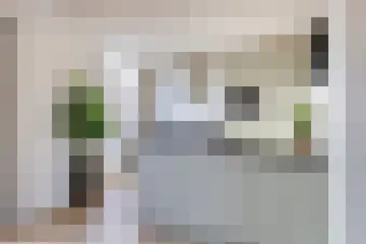 Termijen 95 Heiloo thumbnail 11