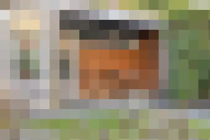 Termijen 95 Heiloo thumbnail 26