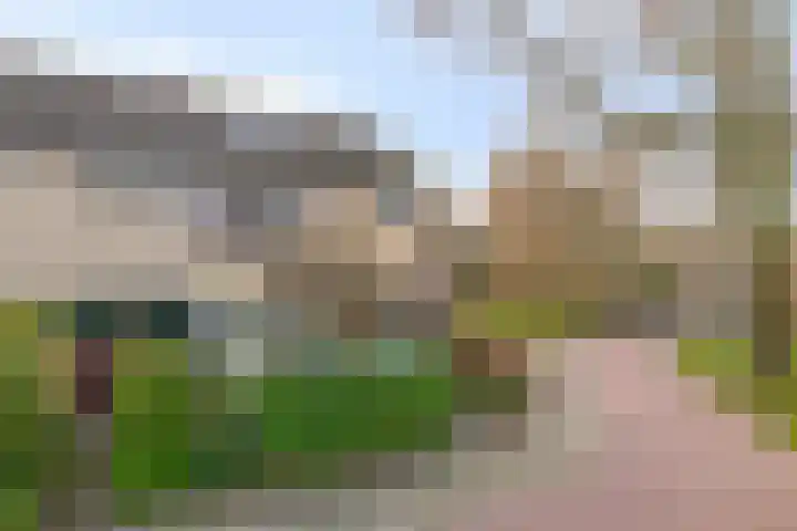 Termijen 95 Heiloo thumbnail 27