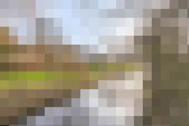 Termijen 95 Heiloo thumbnail 28