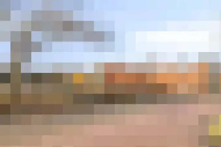Termijen 95 Heiloo thumbnail 29