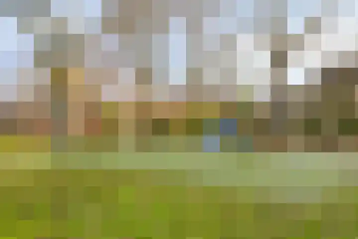 Termijen 95 Heiloo thumbnail 30