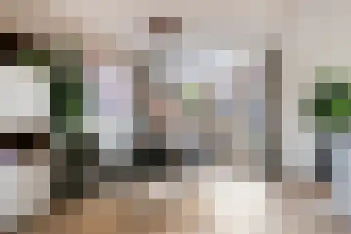 Termijen 95 Heiloo thumbnail 9