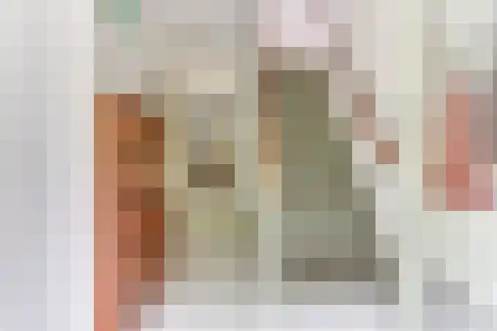 Termijen 98 Heiloo thumbnail 16