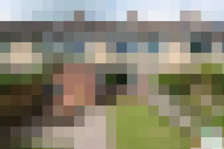 Termijen 98 Heiloo foto 2