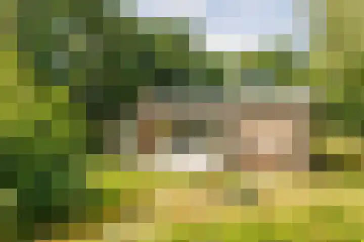 Termijen 98 Heiloo thumbnail 25
