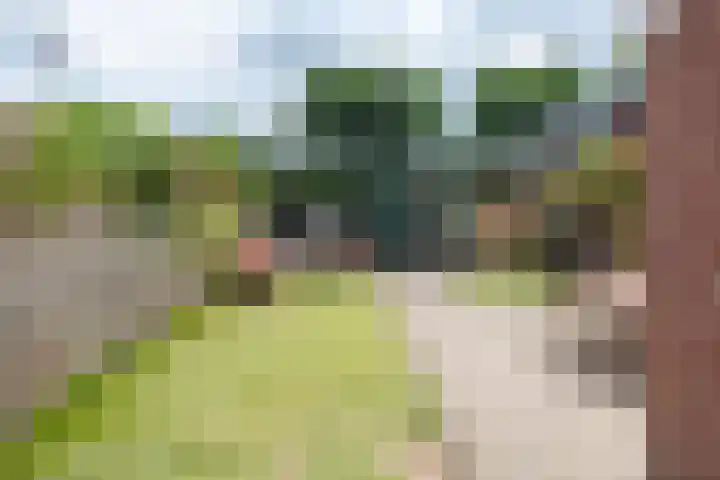 Termijen 98 Heiloo thumbnail 30