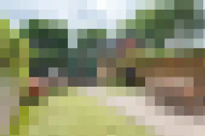 Termijen 98 Heiloo thumbnail 31