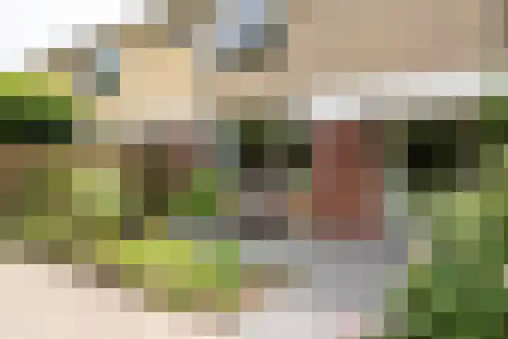 Termijen 98 Heiloo thumbnail 36