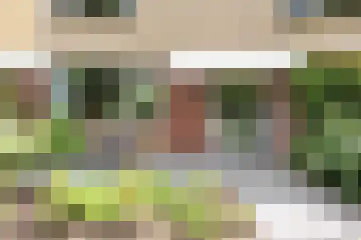 Termijen 98 Heiloo thumbnail 37