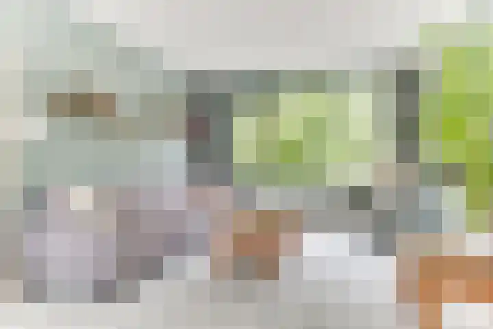 Termijen 98 Heiloo thumbnail 4