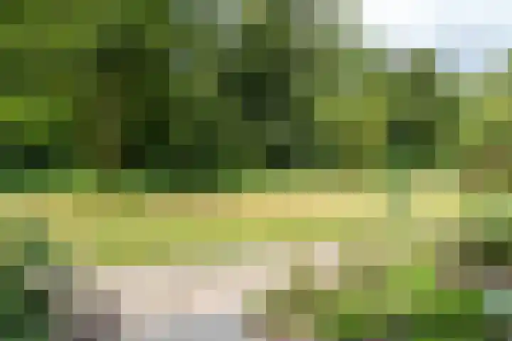 Termijen 98 Heiloo thumbnail 40