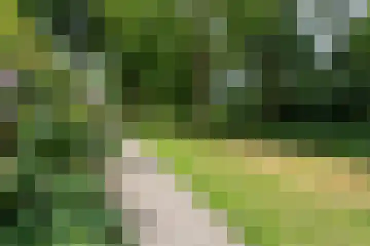 Termijen 98 Heiloo thumbnail 41
