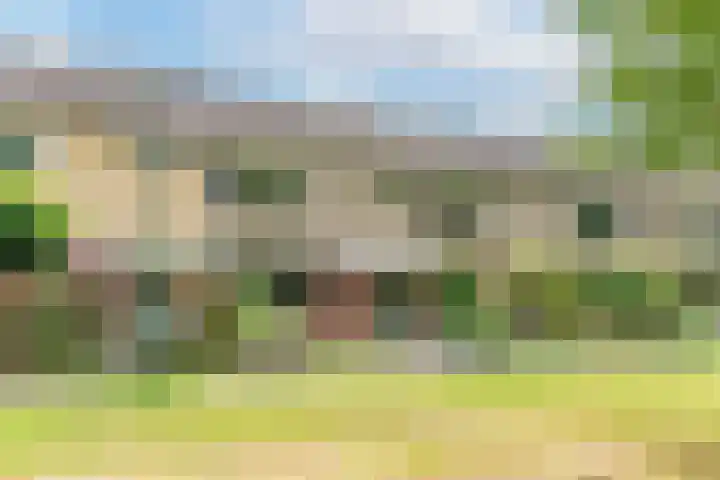 Termijen 98 Heiloo thumbnail 42