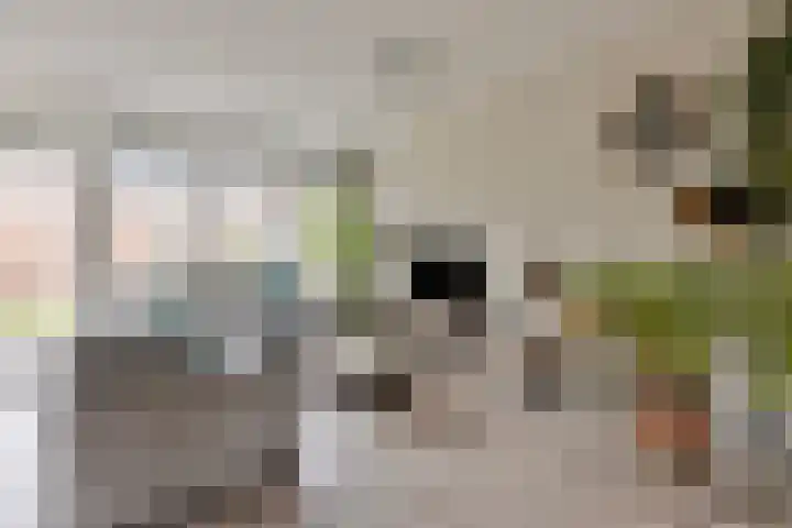 Termijen 98 Heiloo thumbnail 47