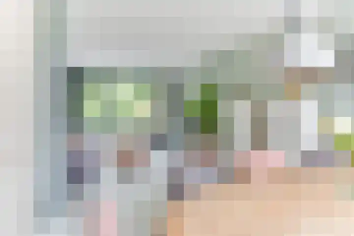 Termijen 98 Heiloo thumbnail 6