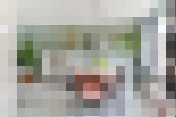 Termijen 98 Heiloo thumbnail 7