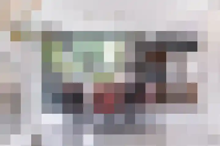 Termijen 98 Heiloo thumbnail 8