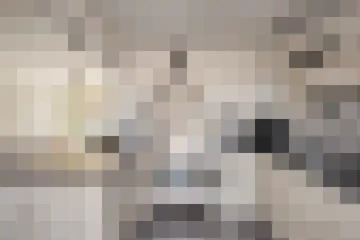 Termileslaan 125 Maastricht thumbnail 10
