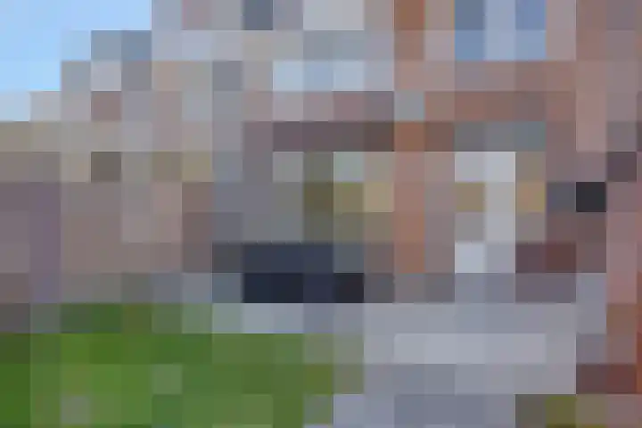 Termileslaan 125 Maastricht thumbnail 12