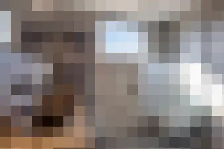 Termileslaan 125 Maastricht thumbnail 21