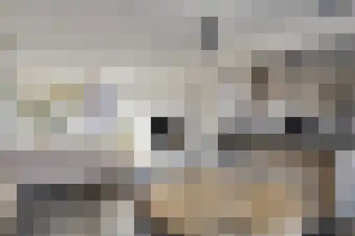 Termileslaan 125 Maastricht thumbnail 8