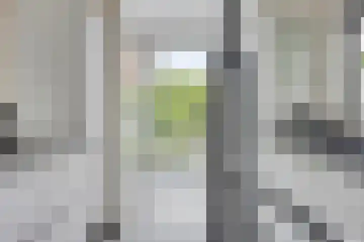Termileslaan 174 Maastricht thumbnail 15