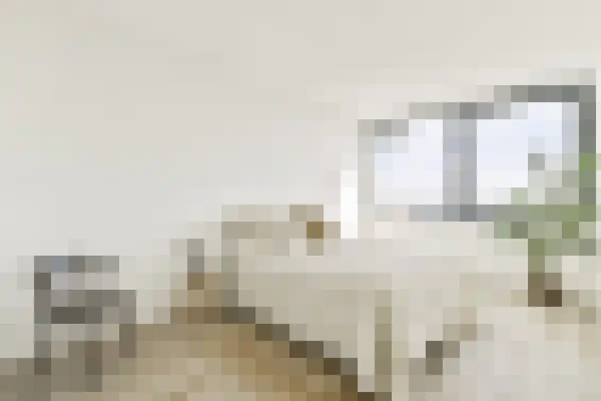 Termini 241 Amsterdam thumbnail 5